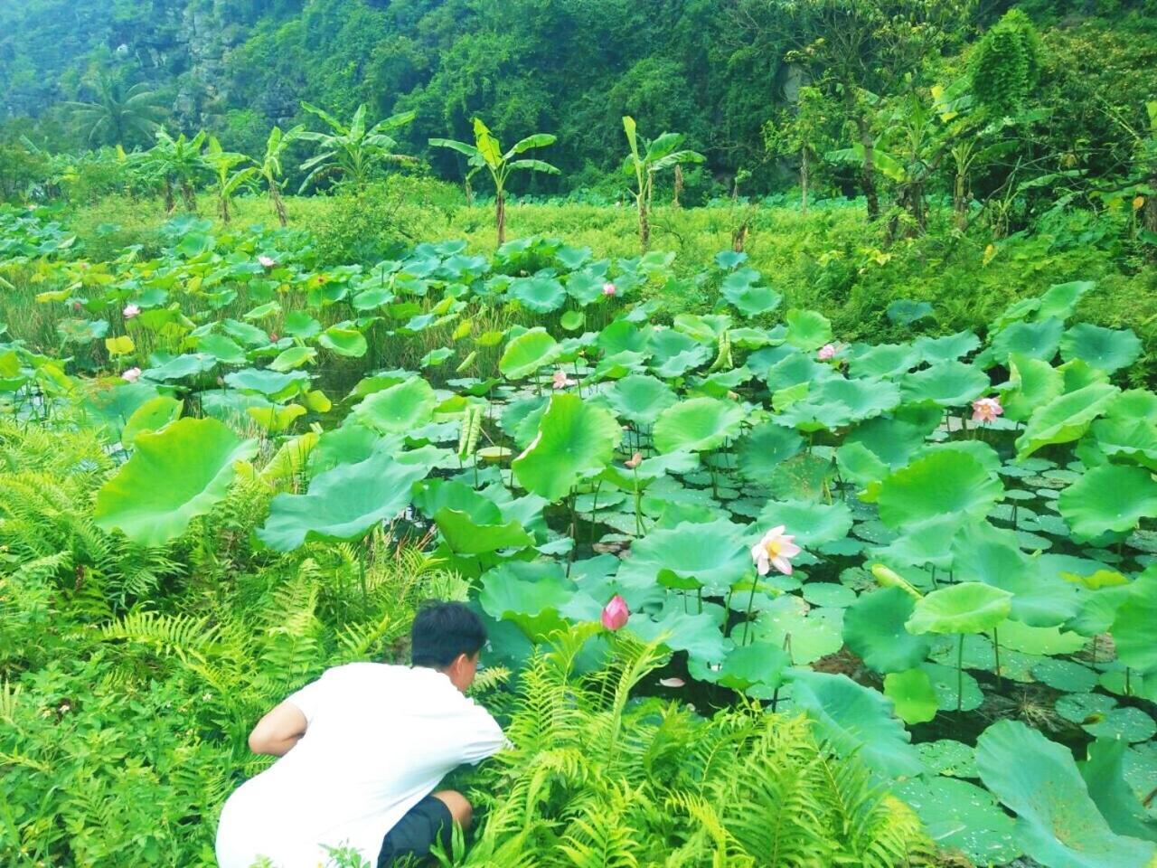Sunny Trang An Homestay Ninh Binh Esterno foto