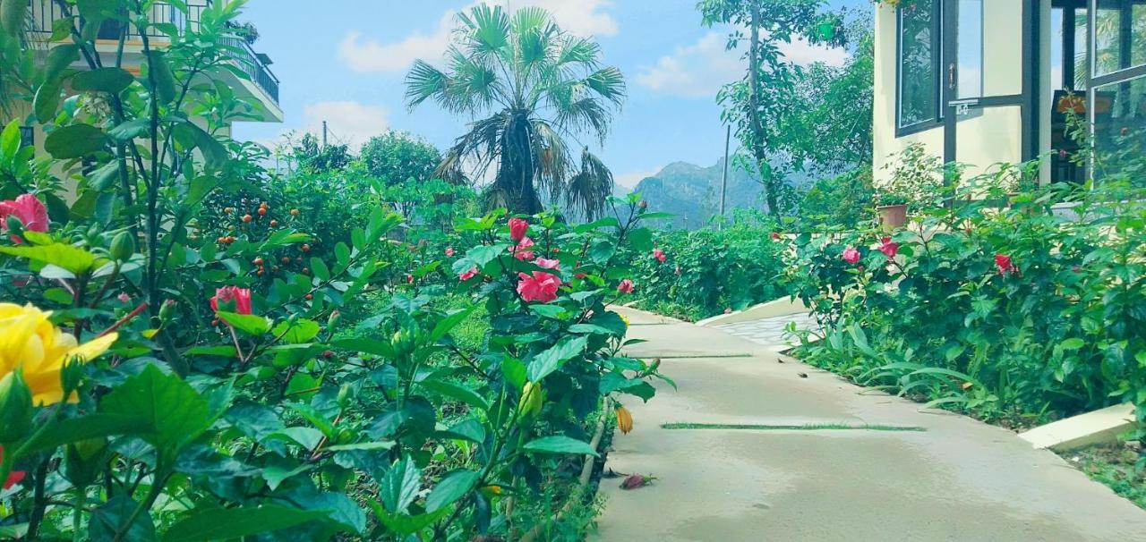 Sunny Trang An Homestay Ninh Binh Esterno foto
