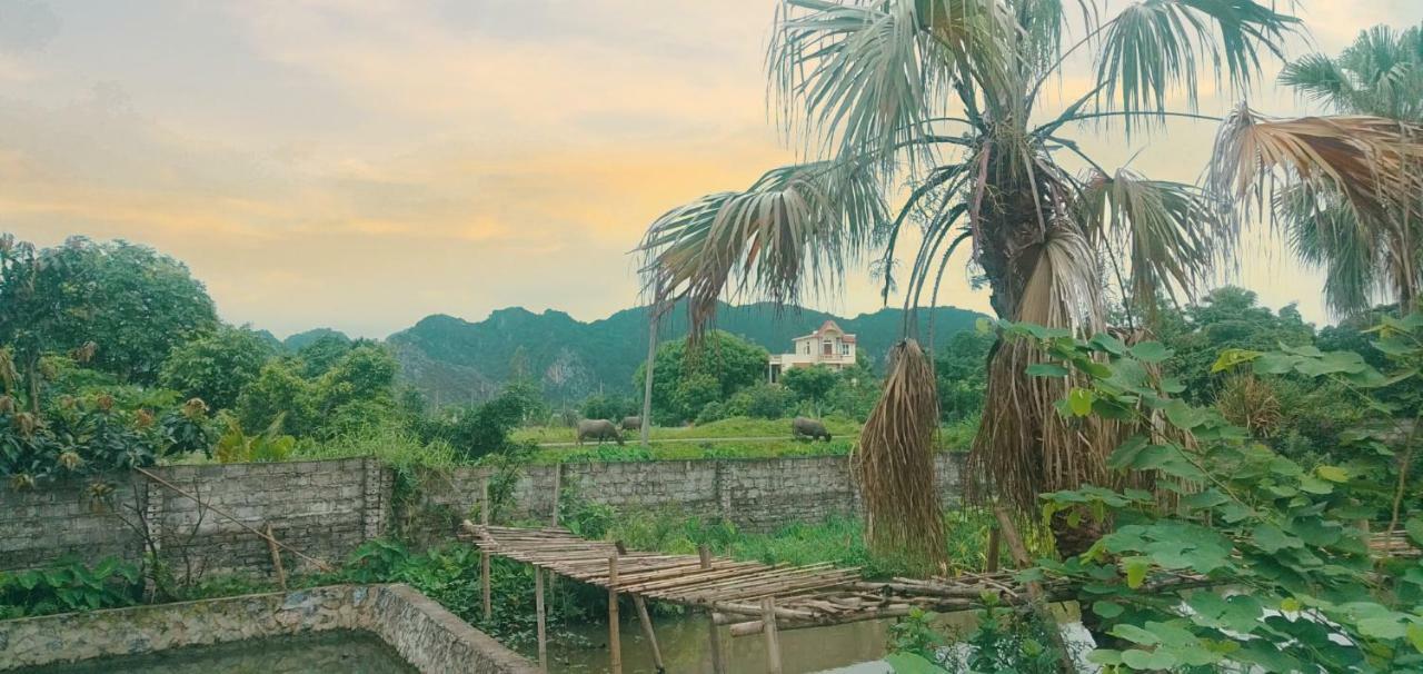 Sunny Trang An Homestay Ninh Binh Esterno foto